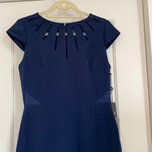 Adrianna Papell Dress